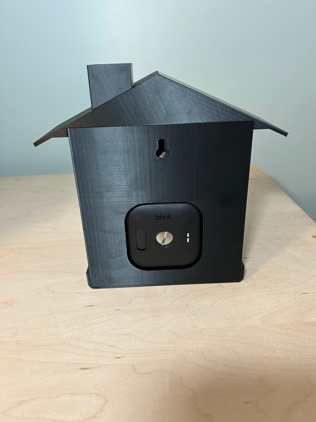 Smart Bird Feeder with Camera Mount: Backyard Wildlife Photography