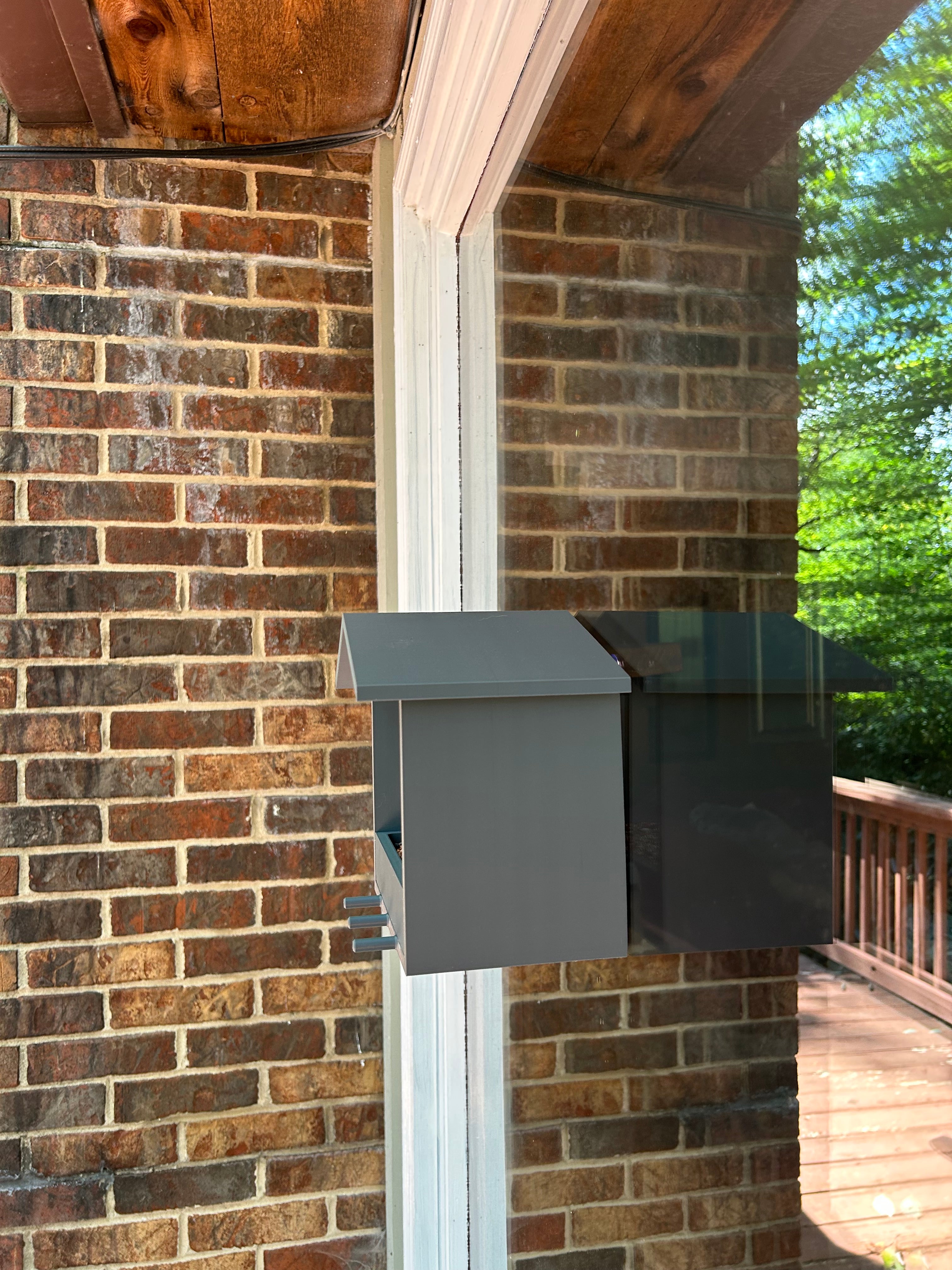 Custom Color Window Bird Feeder: Strong Suction Cups, Wild Bird Viewing