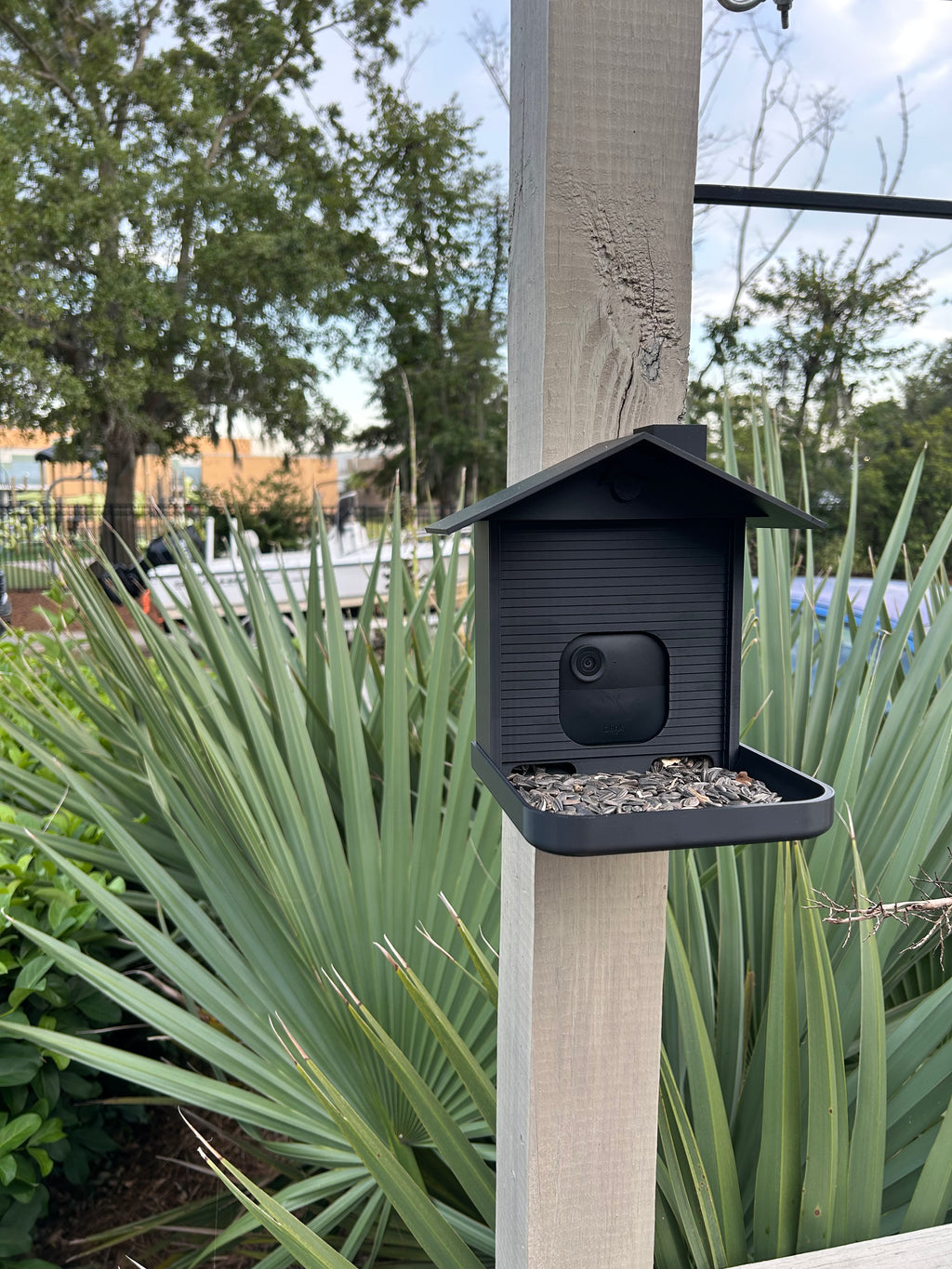Smart Bird Feeder with Camera Mount: Backyard Wildlife Photography