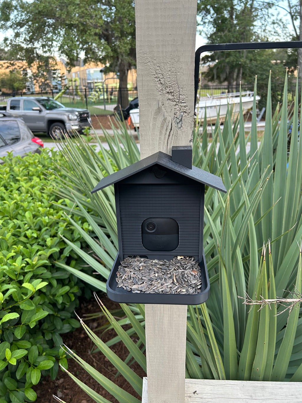 Smart Bird Feeder with Camera Mount: Backyard Wildlife Photography