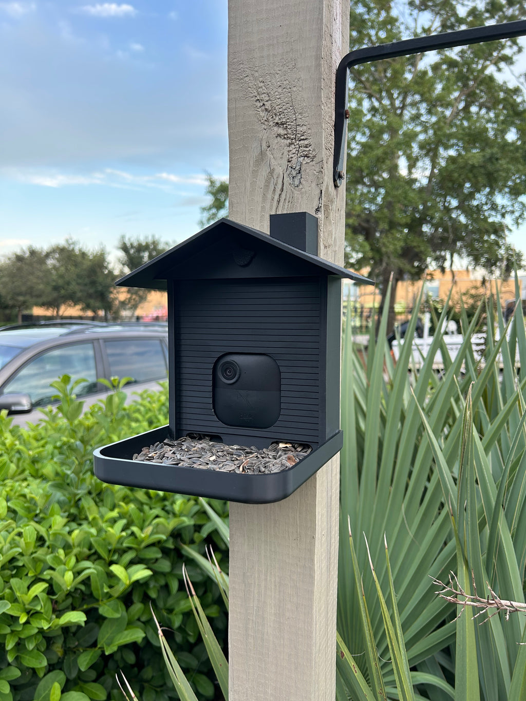 Smart Bird Feeder with Camera Mount: Backyard Wildlife Photography