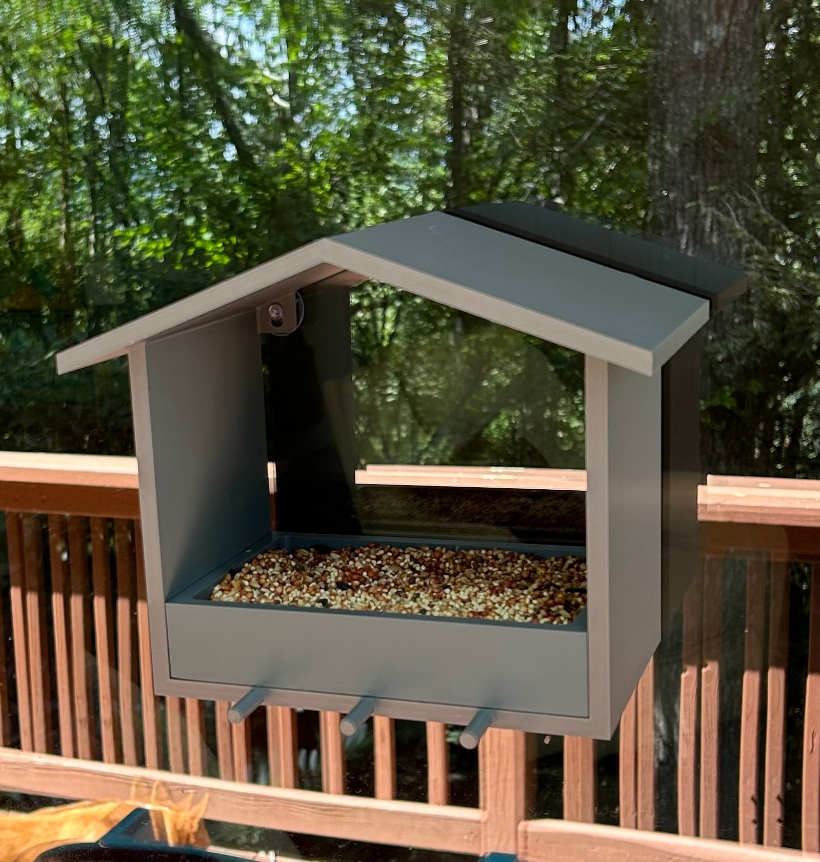 Custom Color Window Bird Feeder: Strong Suction Cups, Wild Bird Viewing