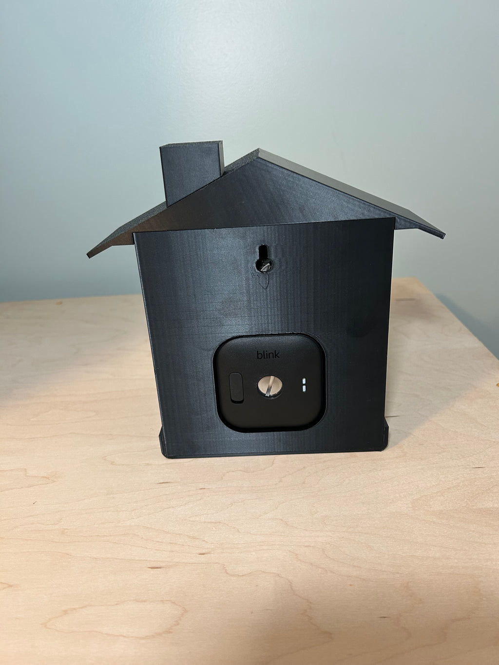 Smart Bird Feeder with Camera Mount: Backyard Wildlife Photography